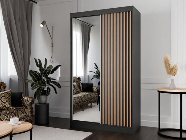 Armoire avec Miroir Loreto Noir, Chêne Wotan